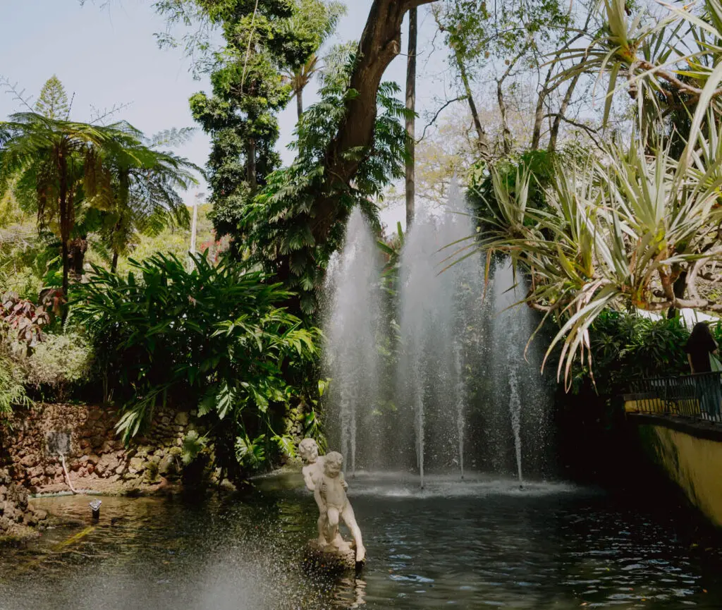Jardin botanique Funchal - Botanische tuin Funchal - Botanical garden Funchal -Stadtpark Funchal