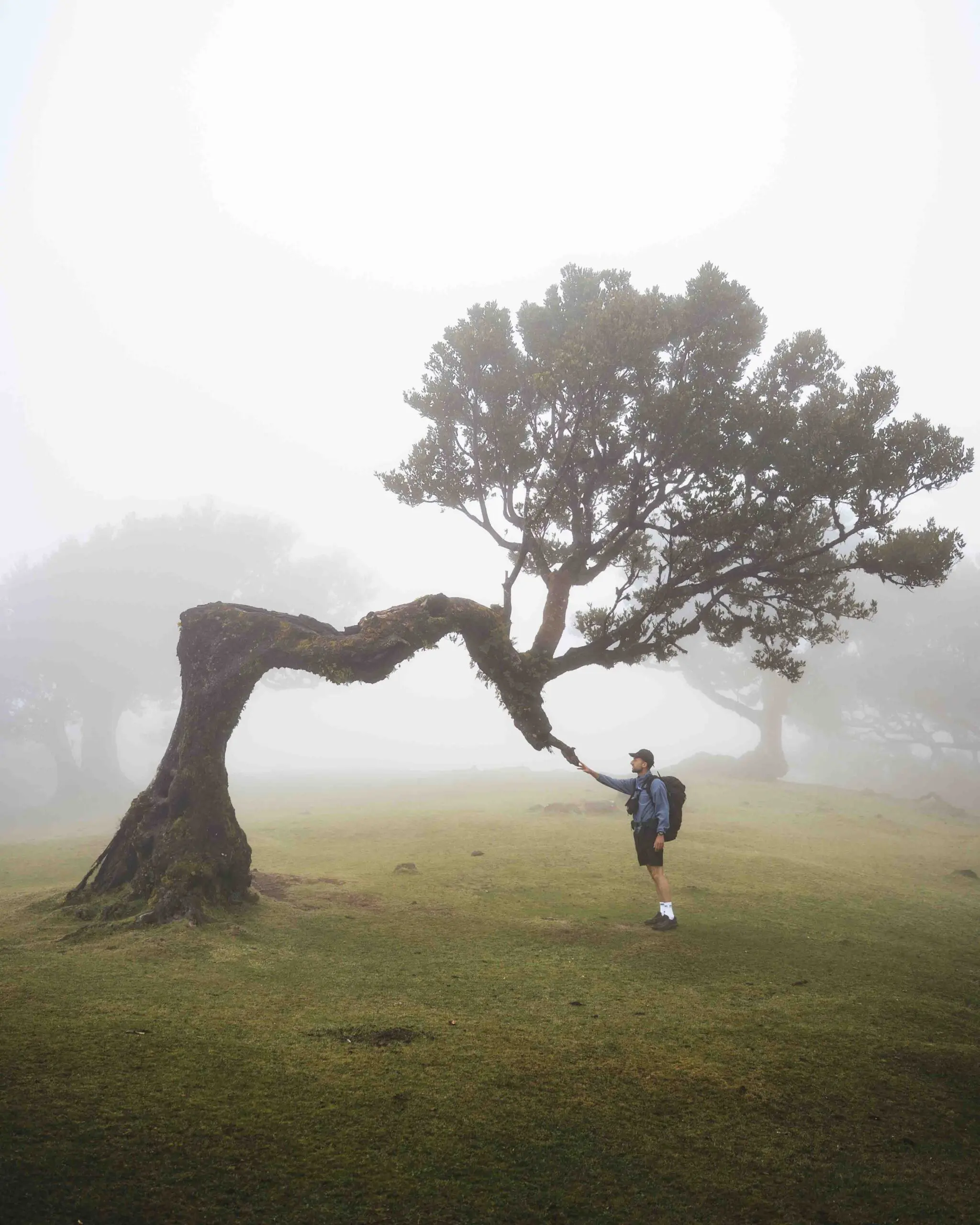 Wandelroutes op Madeira