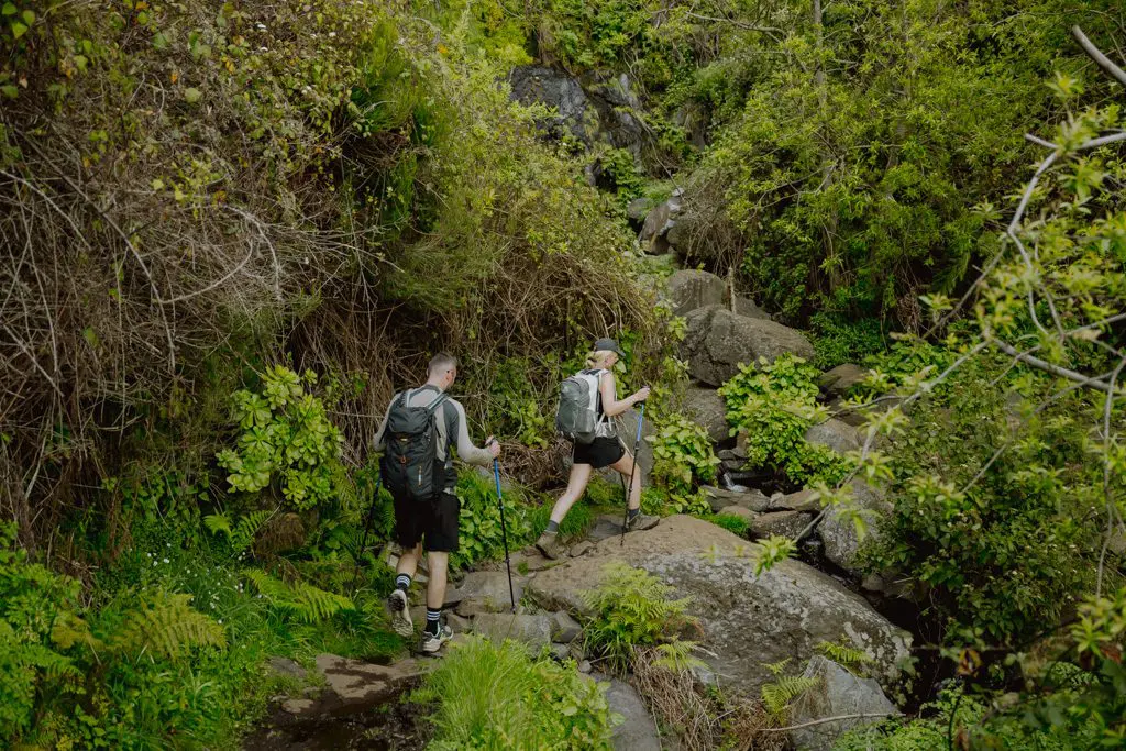 Klimaat van Madeira